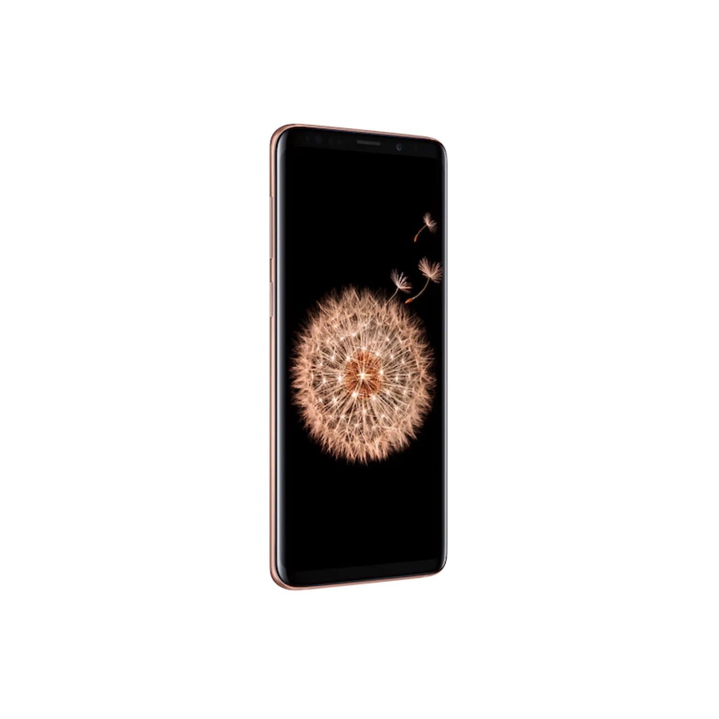 Samsung Galaxy S9 Plus